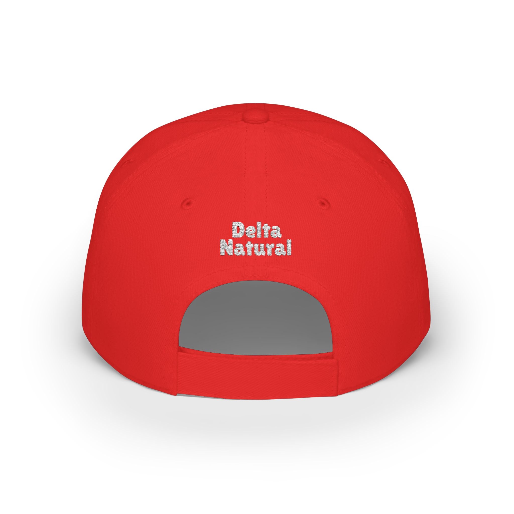 #47 Cap
